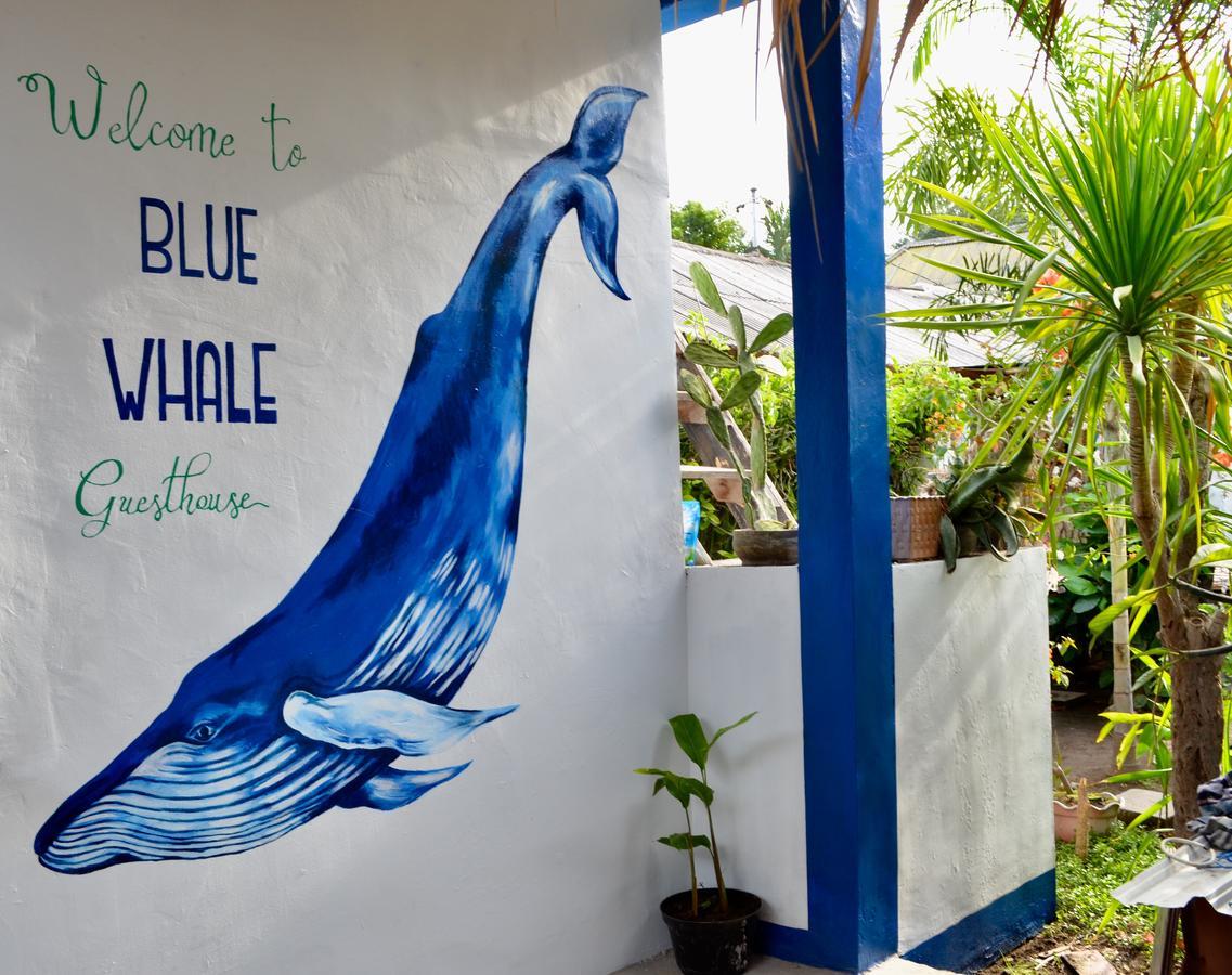 Blue Whale Guesthouse Gili Trawangan Exteriör bild